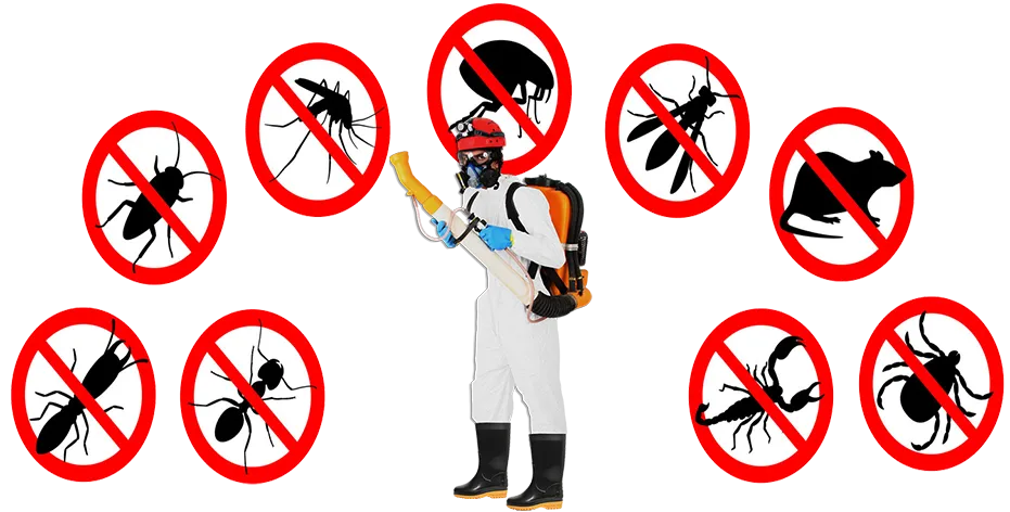 Controle de Praga na Penha